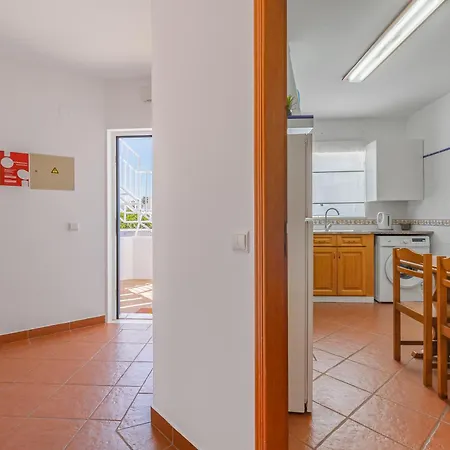 Seashell Henriques Ll Luz