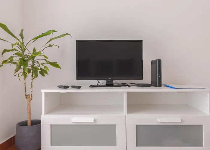 Seashell Henriques Ll *