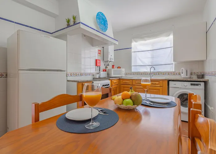 Seashell Henriques Ll Daire Luz