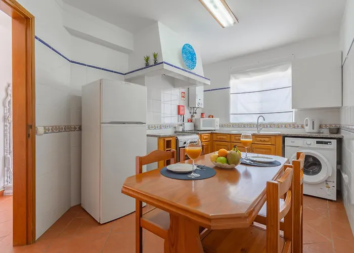 Seashell Henriques Ll * Luz