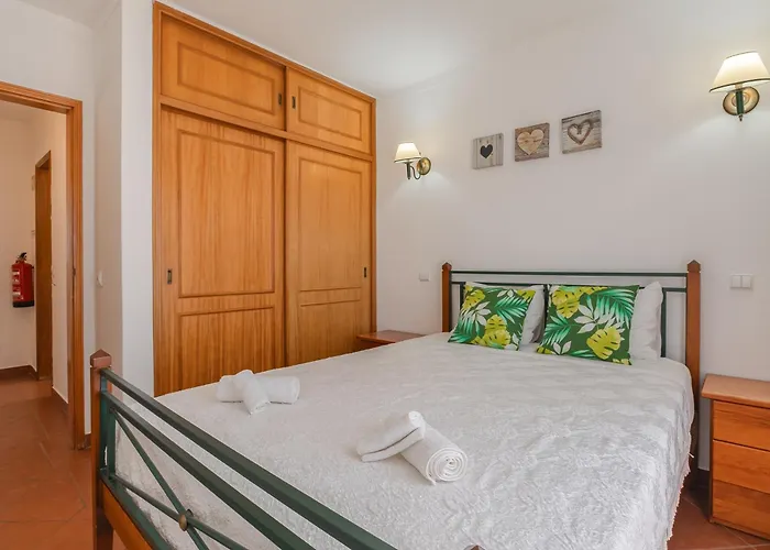 Seashell Henriques Ll Daire *