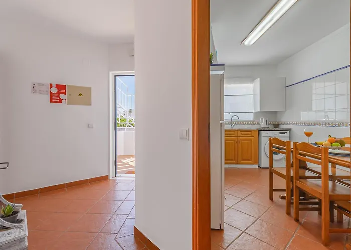 Seashell Henriques Ll Luz